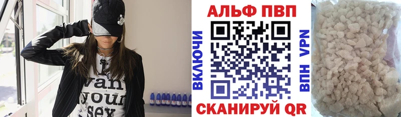 A PVP СК  Архангельск 