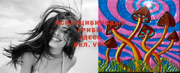 прущая мука Алзамай