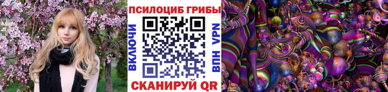 Галлюциногенные грибы MAGIC MUSHROOMS  купить закладку  Архангельск 